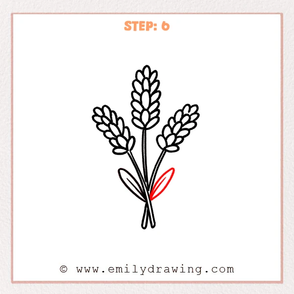 how to draw a lavender - Step 6