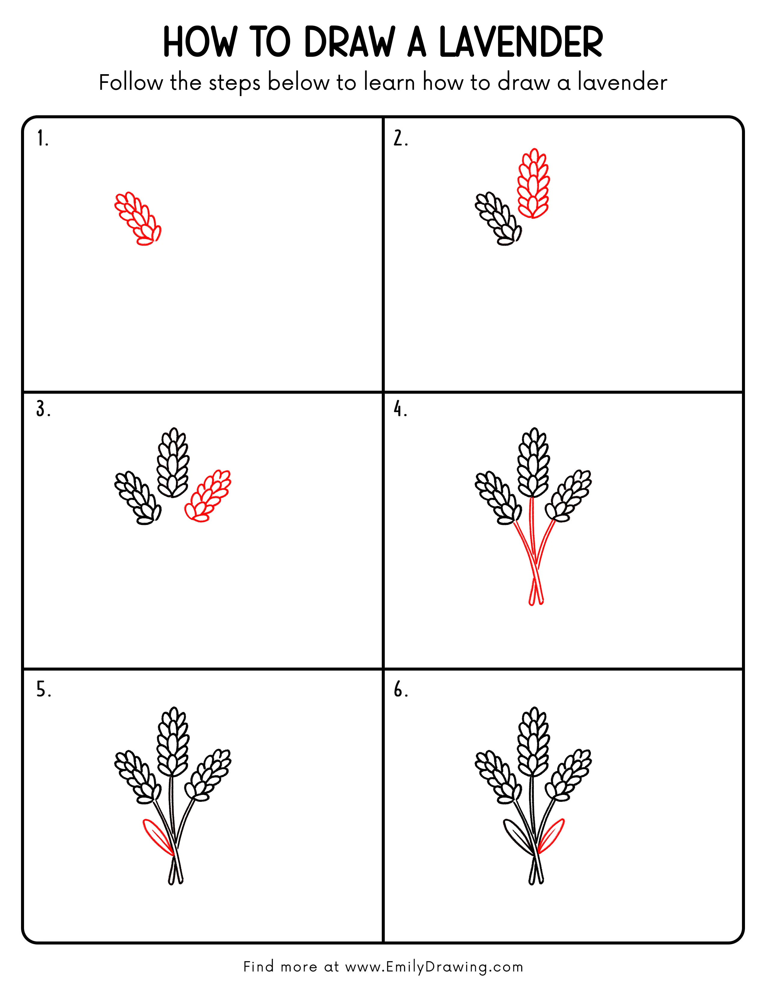 Printable Lavender Drawing Guide