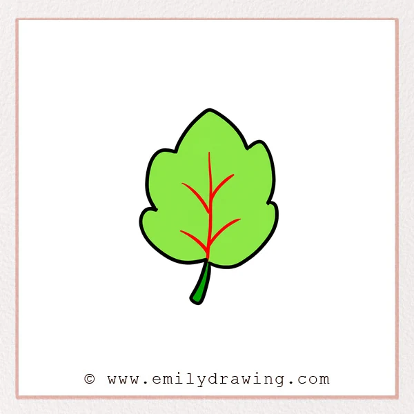 Preview of Leaf drawing