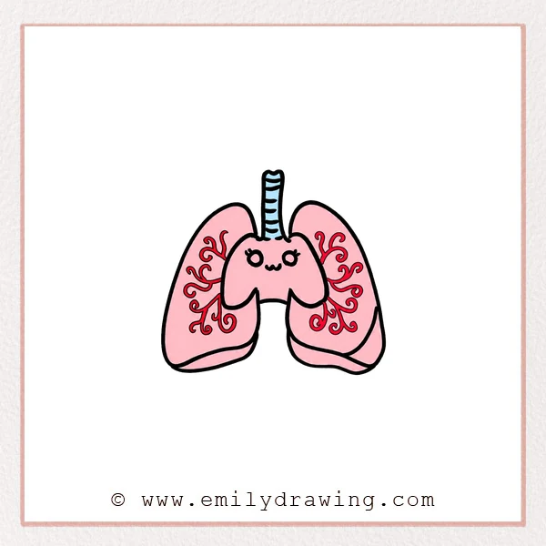 Preview of Lungs drawing