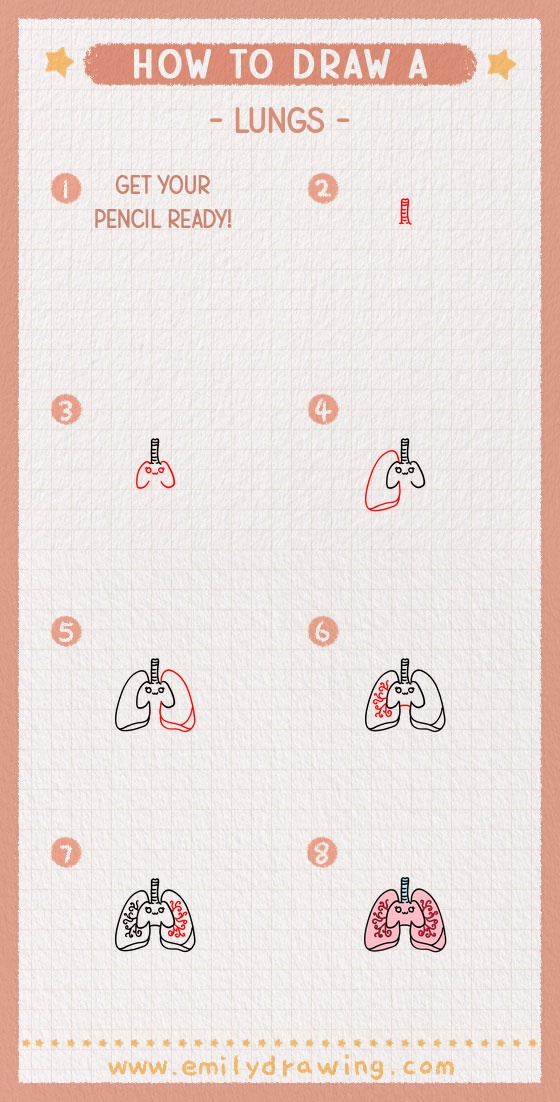 how to draw a lungs pinterest pin