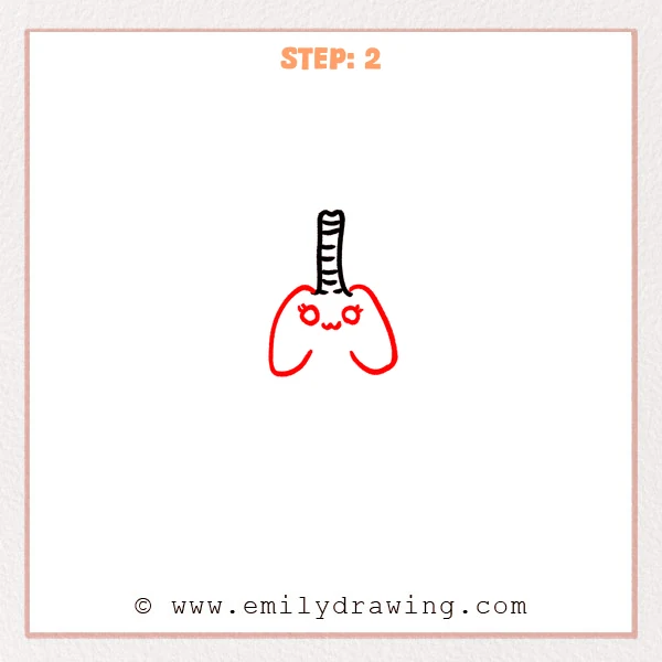 how to draw a lungs - A cute lungs drawing adds a rounded inner lung shape with two eyes, lashes, and a smiling mouth.
