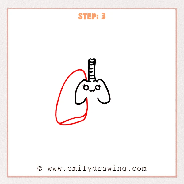 how to draw a lungs - A step by step lungs drawing adds a large left outer lung lobe with a curved lower detail line.