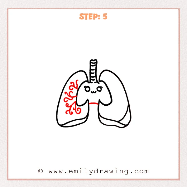 how to draw a lungs - A cute lungs drawing for beginners adds curling decorative branches inside the left lung.
