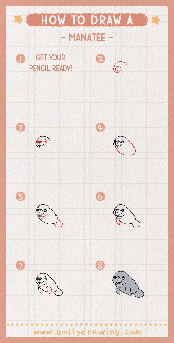 how to draw a manatee pinterest pin