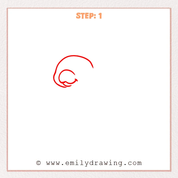 how to draw a manatee - Step 1