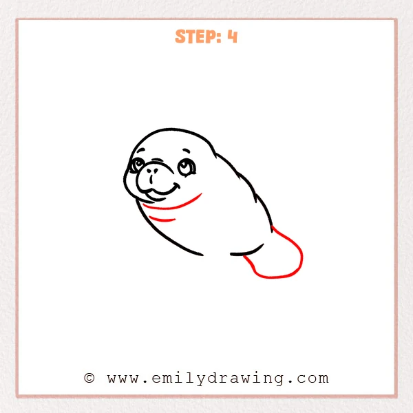 how to draw a manatee - Step 4