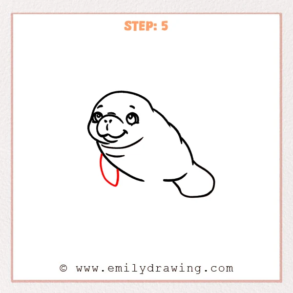 how to draw a manatee - Step 5