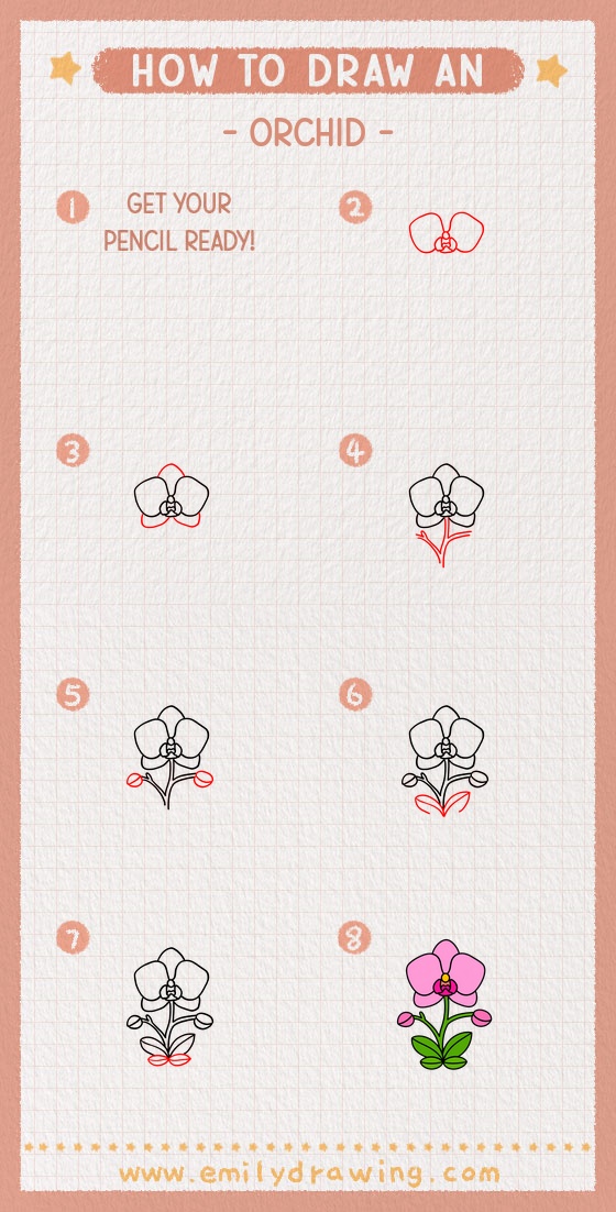 how to draw an orchid pinterest pin