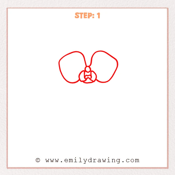 how to draw an orchid - Step 1