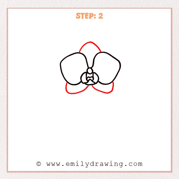 how to draw an orchid - Step 2