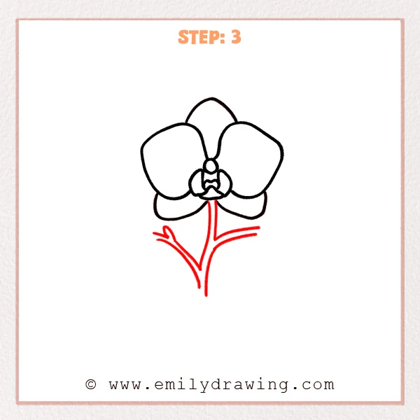 how to draw an orchid - Step 3