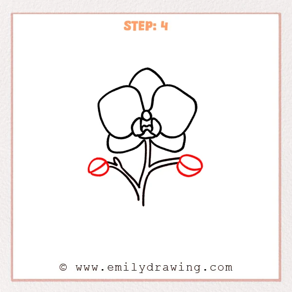 how to draw an orchid - Step 4