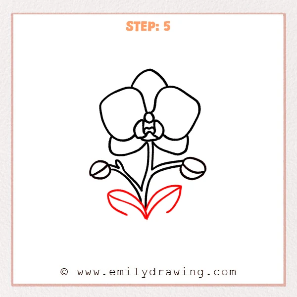 how to draw an orchid - Step 5