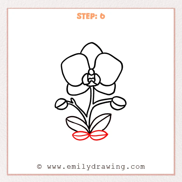 how to draw an orchid - Step 6