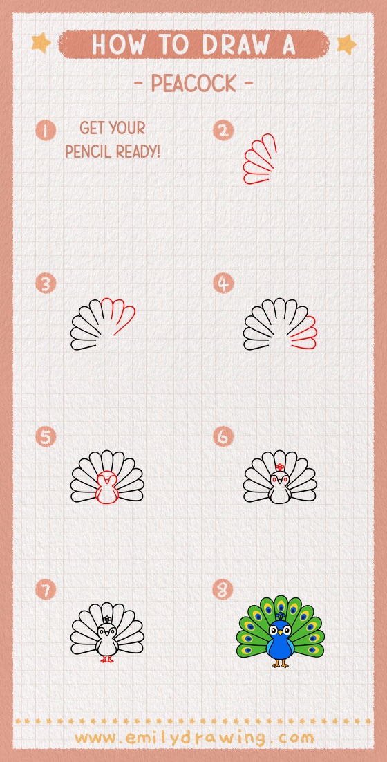 how to draw a peacock pinterest pin