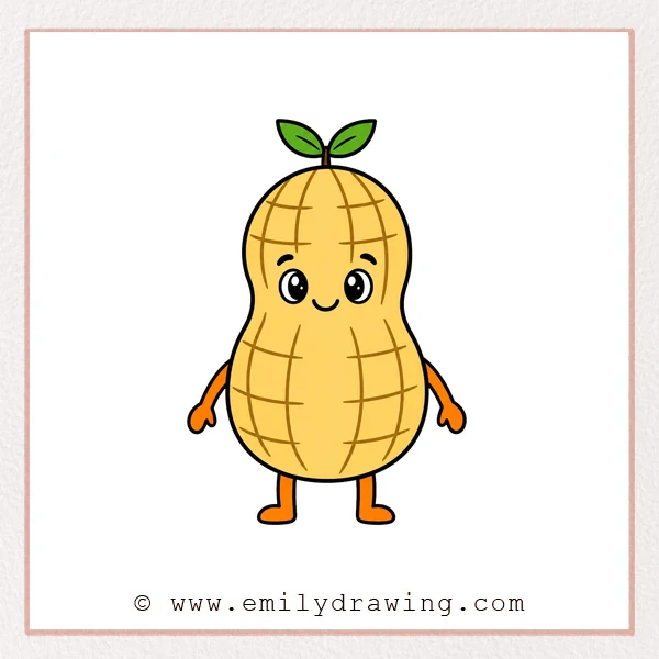 Preview of Peanut drawing