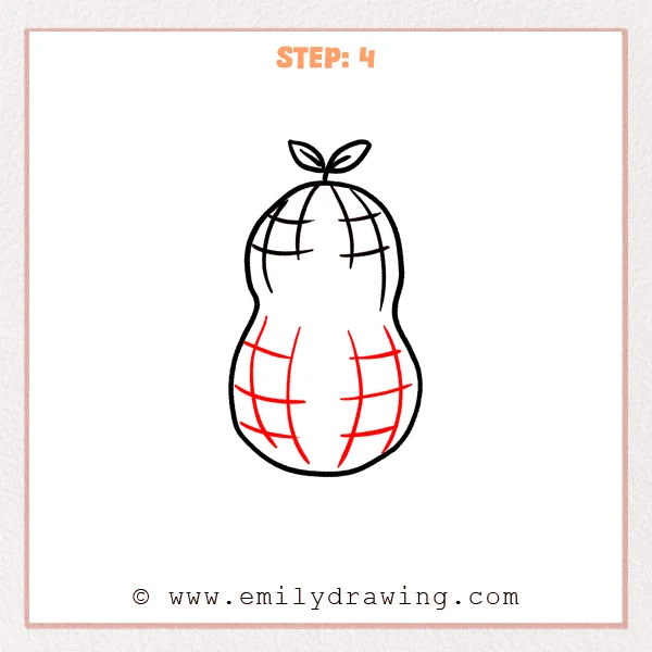 how to draw a peanut - Step 4