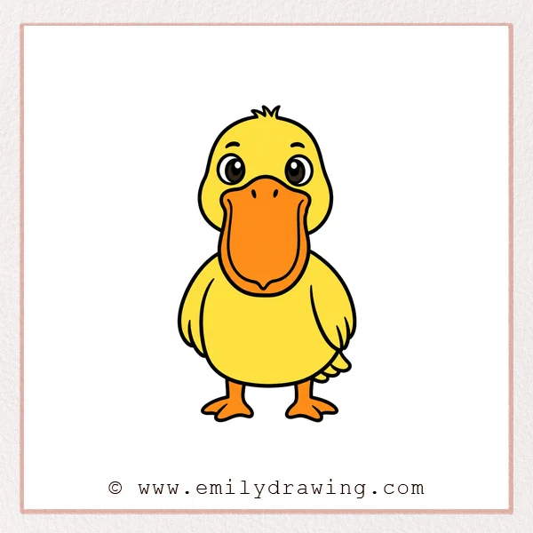 Preview of Pelican drawing