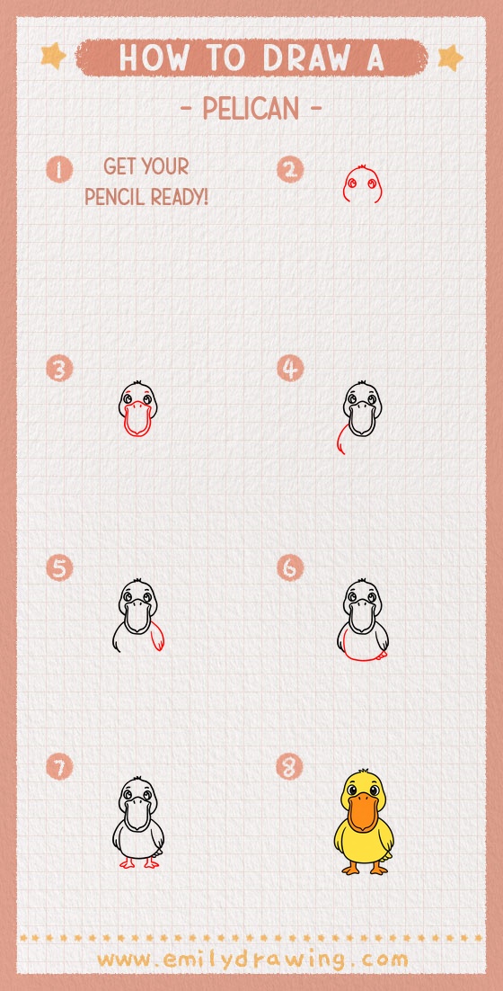 how to draw a pelican pinterest pin