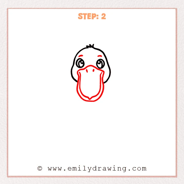 how to draw a pelican - Step 2