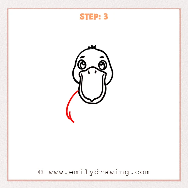 how to draw a pelican - Step 3
