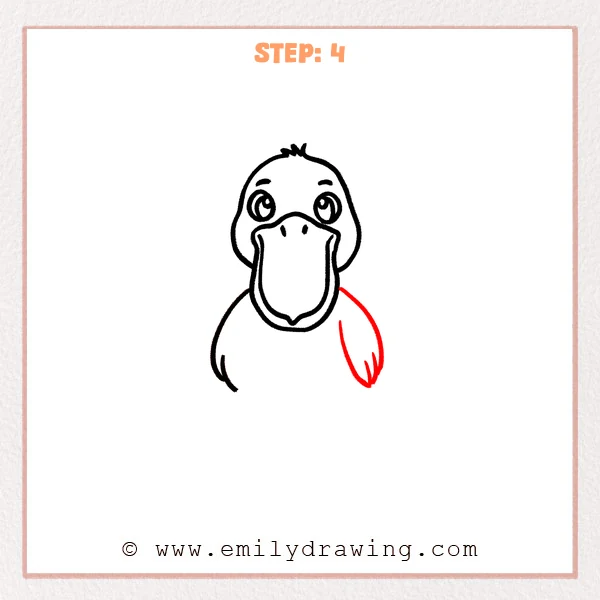 how to draw a pelican - Step 4