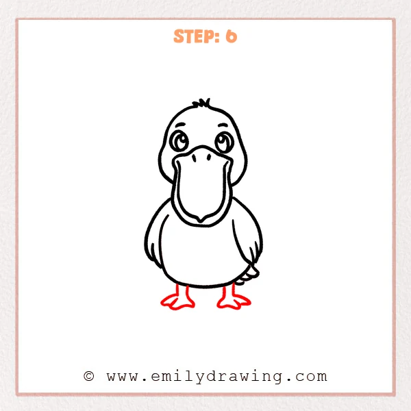 how to draw a pelican - Step 6