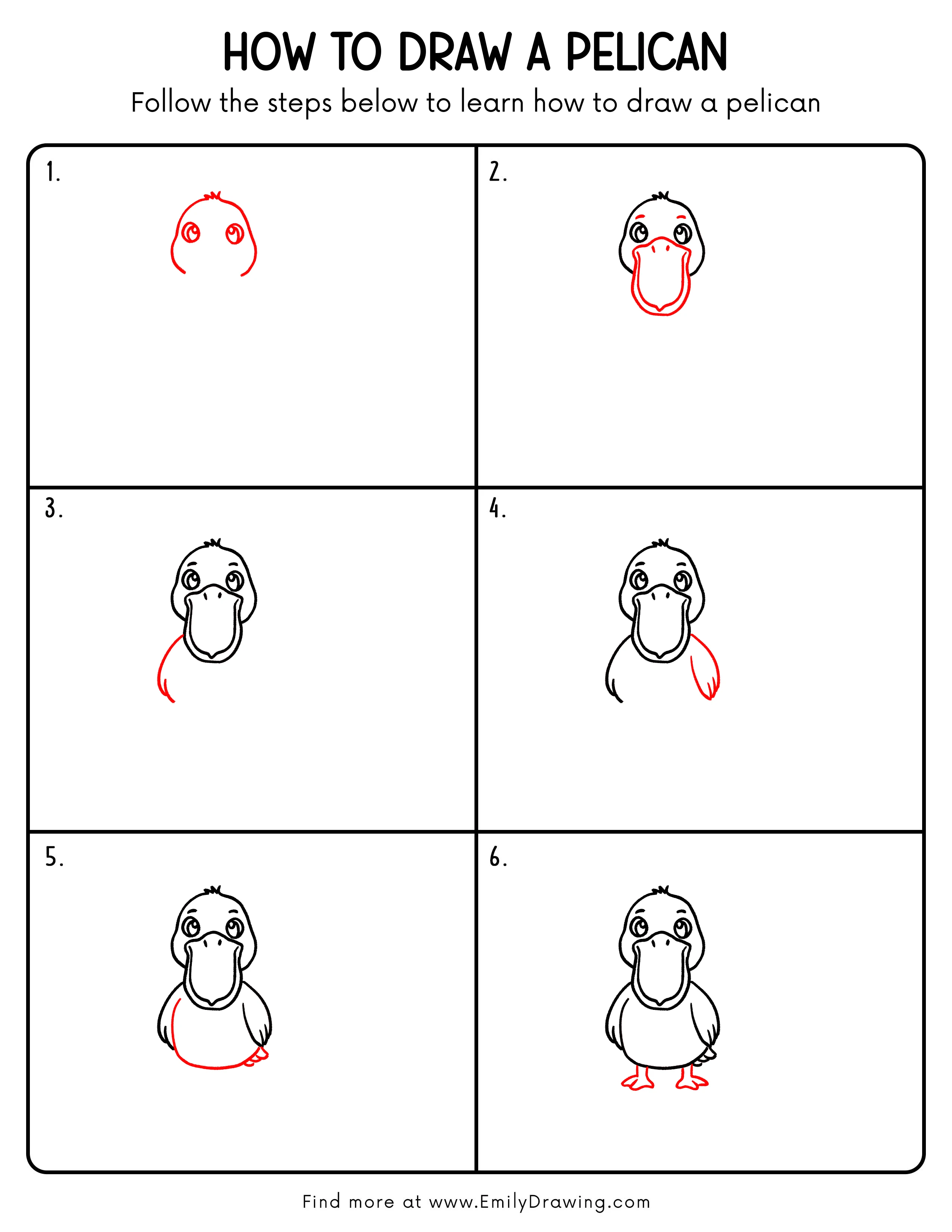 Printable Pelican Drawing Guide