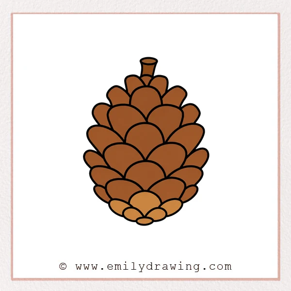 Preview of Pinecone drawing