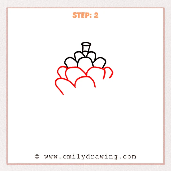 how to draw a pinecone - Step 2