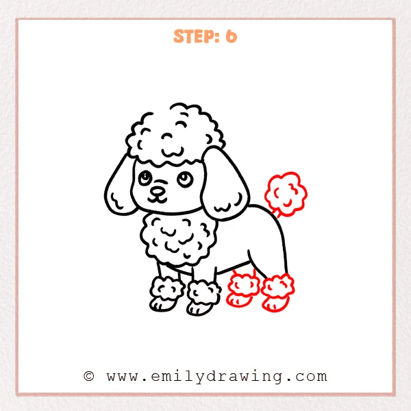 how to draw a poodle - Step 6