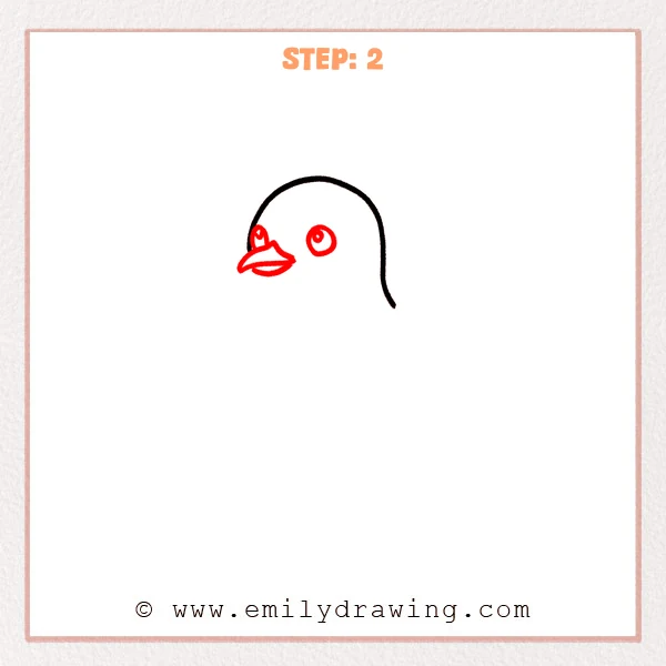 how to draw a seagull - Step 2