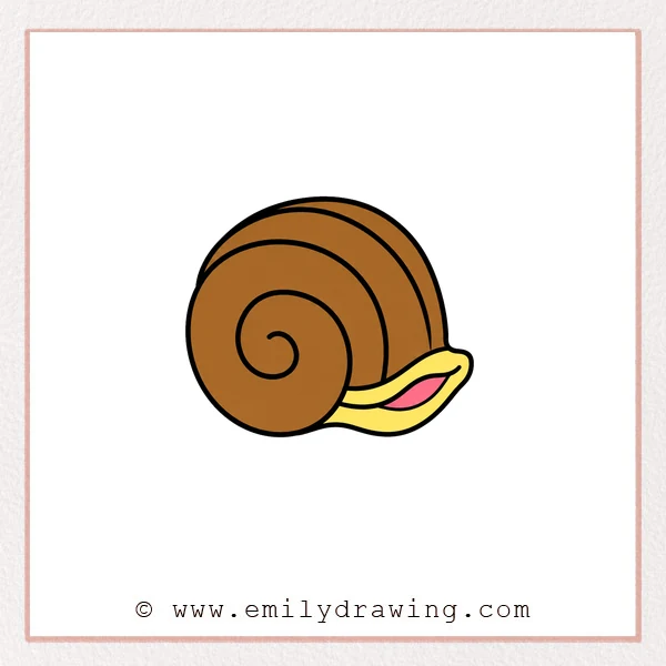 Preview of Seashell drawing