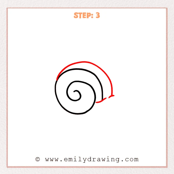 how to draw a seashell - Step 3
