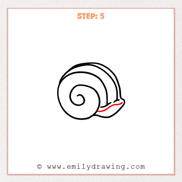 how to draw a seashell - Step 5
