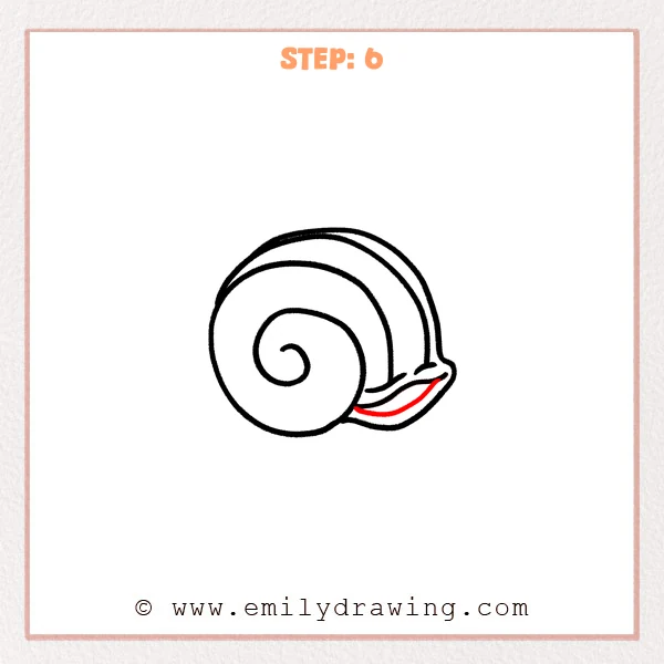 how to draw a seashell - Step 6