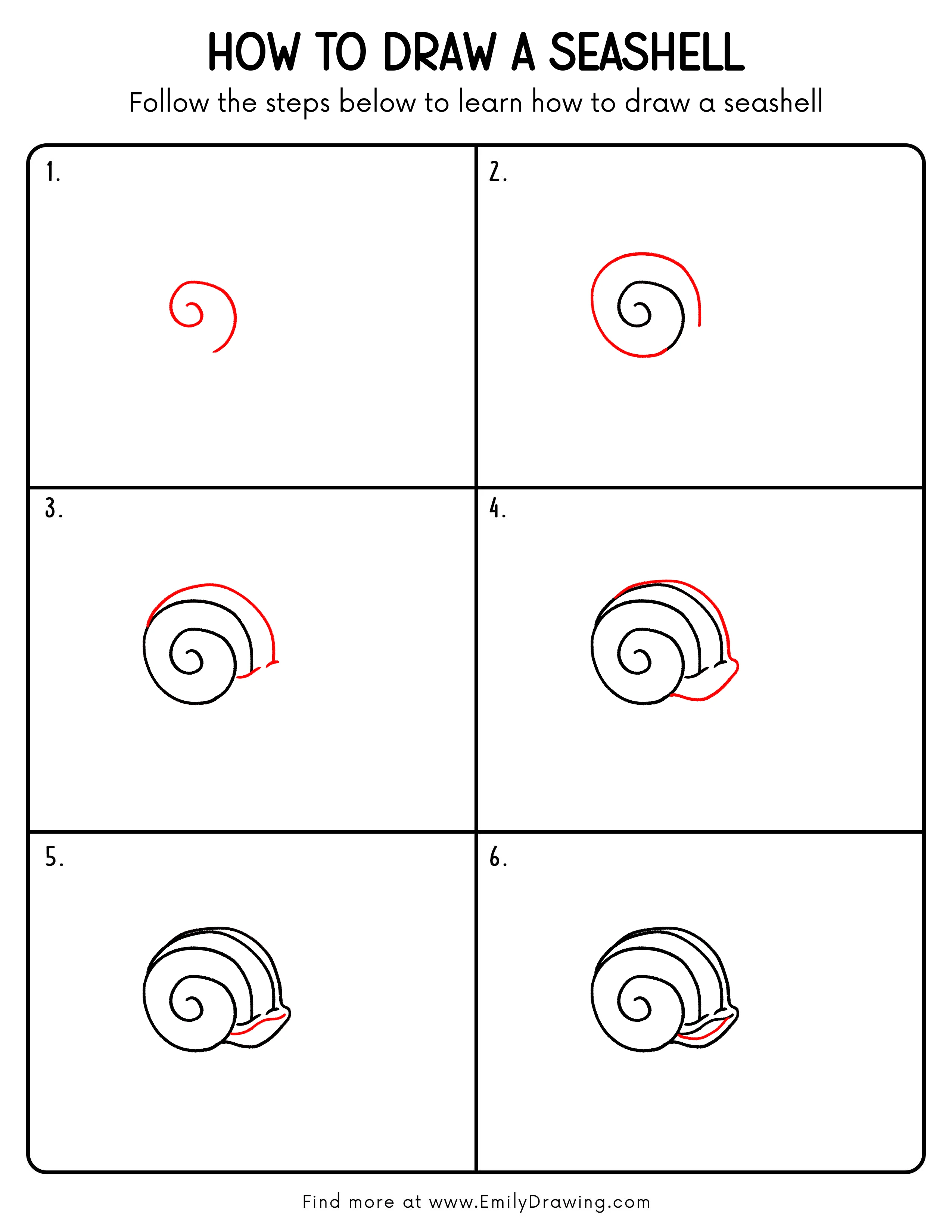 Printable Seashell Drawing Guide