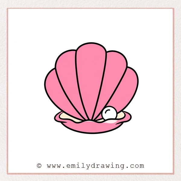 Preview of Shell drawing