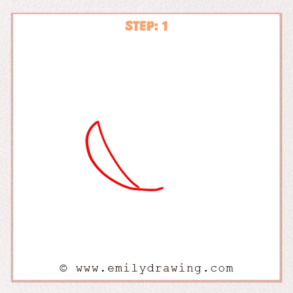 how to draw a shell - Step 1