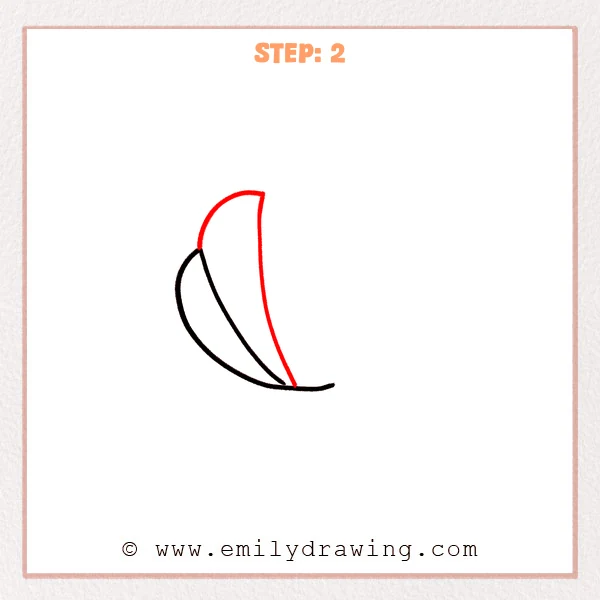 how to draw a shell - Step 2
