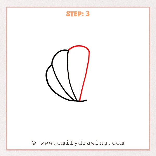 how to draw a shell - Step 3