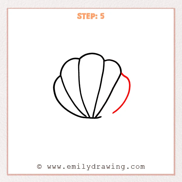 how to draw a shell - Step 5