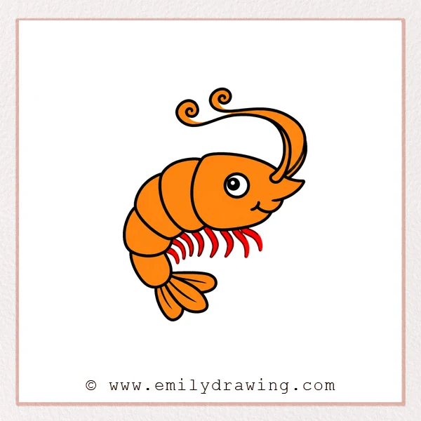 Preview of Shrimp drawing