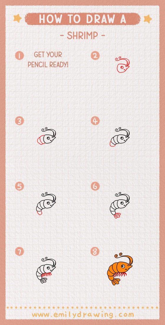 how to draw a shrimp pinterest pin