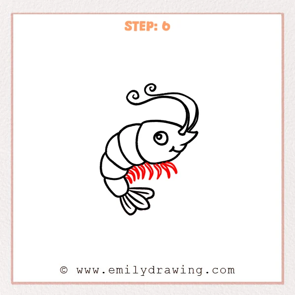 how to draw a shrimp - Step 6
