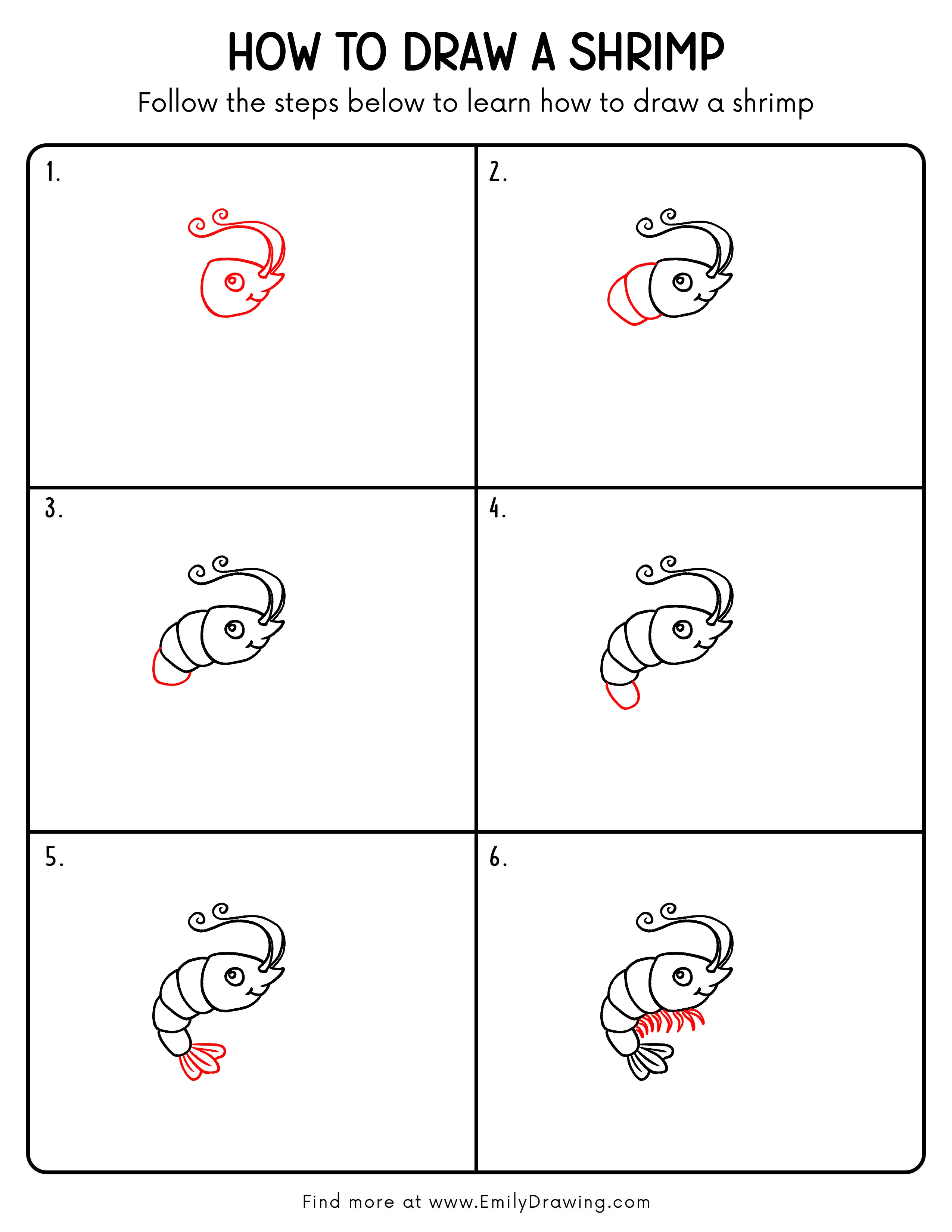 Printable Shrimp Drawing Guide