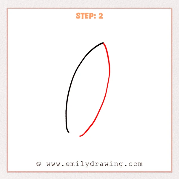 how to draw a surfboard - Step 2
