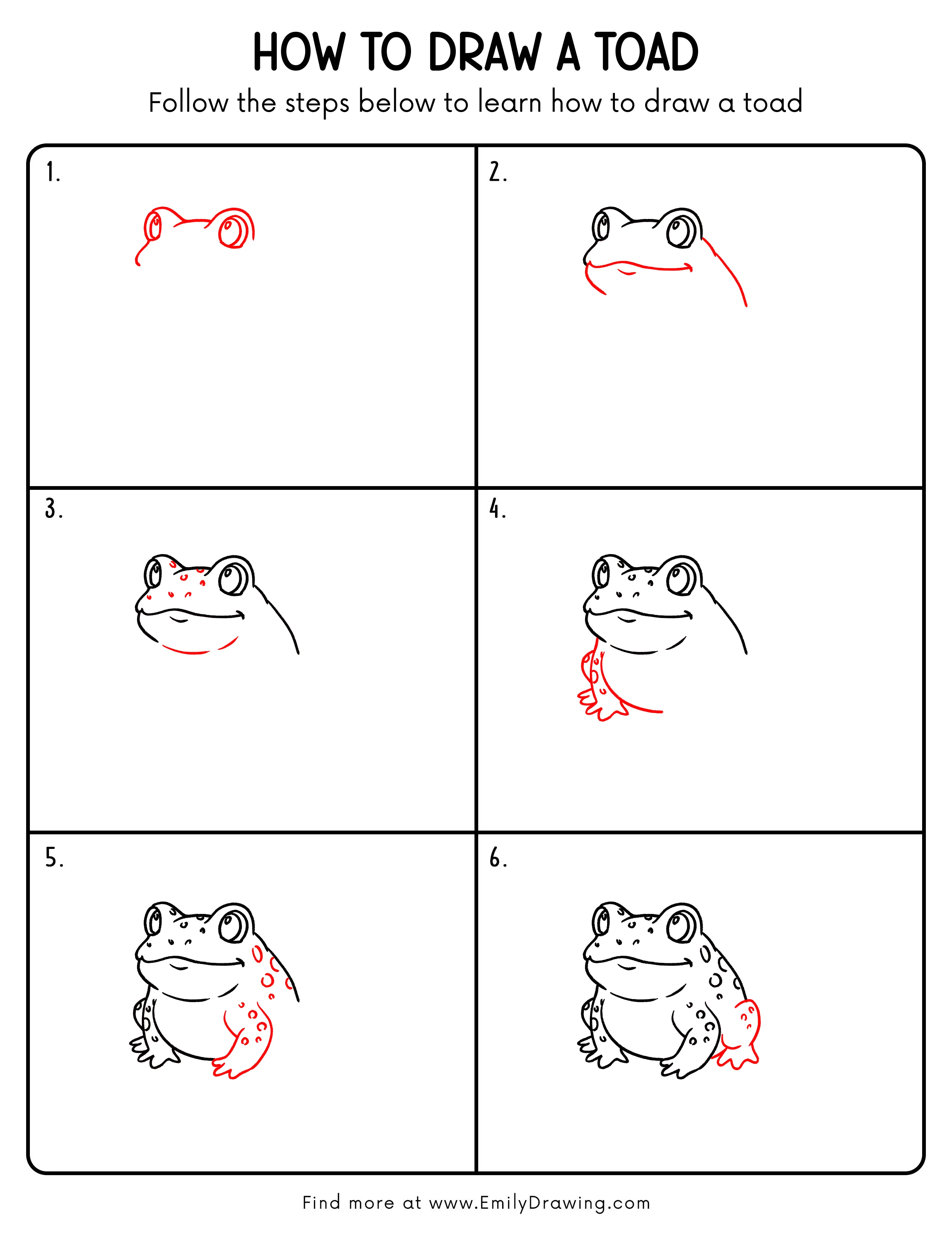 Printable Toad Drawing Guide