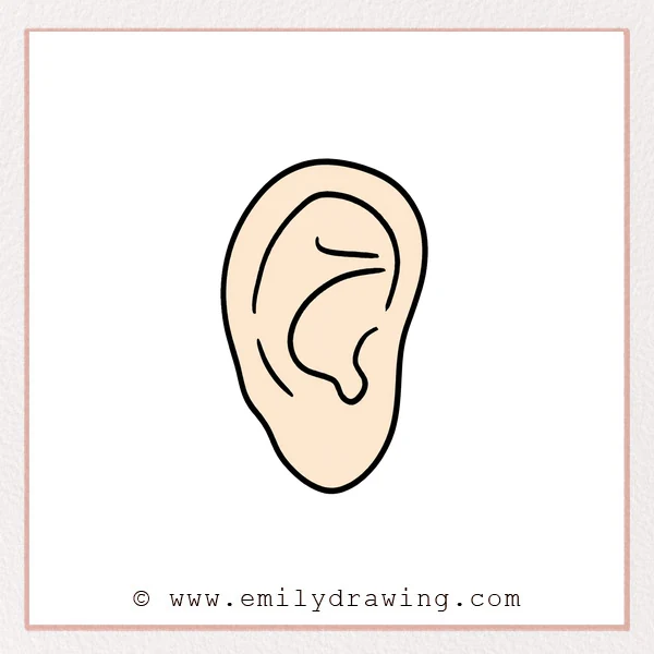Preview of Cartoon Ear drawing